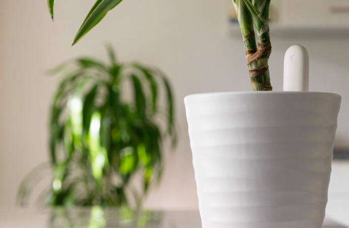 Xiaomi Mi Home Flower Care Feuchtigkeitssensor für Pflanzen im Test