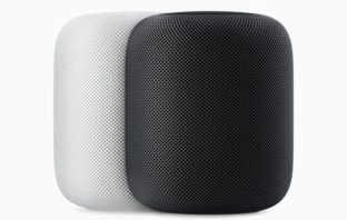(c) Apple Inc.