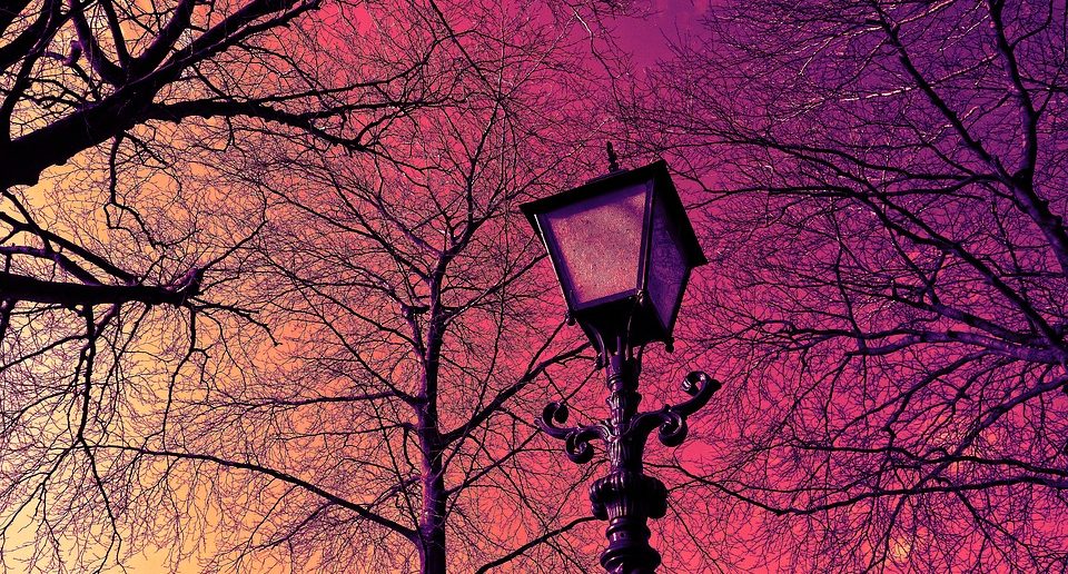 Bildquelle: pixabay.de