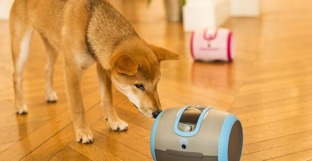 (c) CamToy / Lola Ledoux