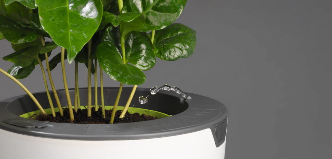 LAZY LEAF 1,1l Smarter Blumentopf