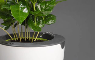 LAZY LEAF 1,1l Smarter Blumentopf