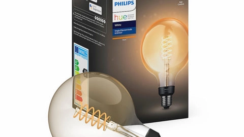 Philips Hue White E27 Filament Giant Globe