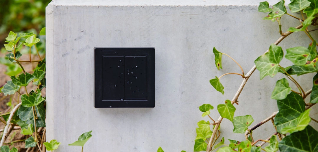 Friends of Hue Outdoor Switch