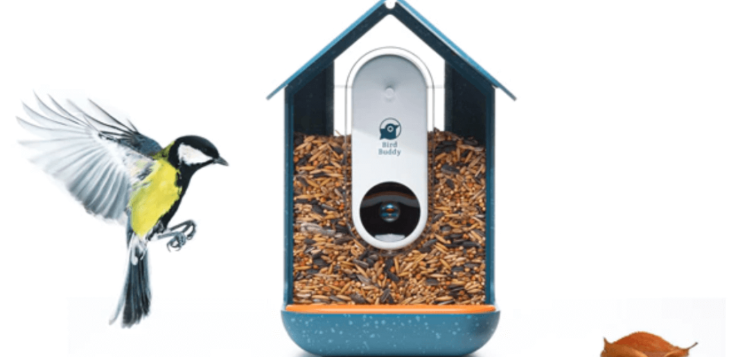 Bird Buddy