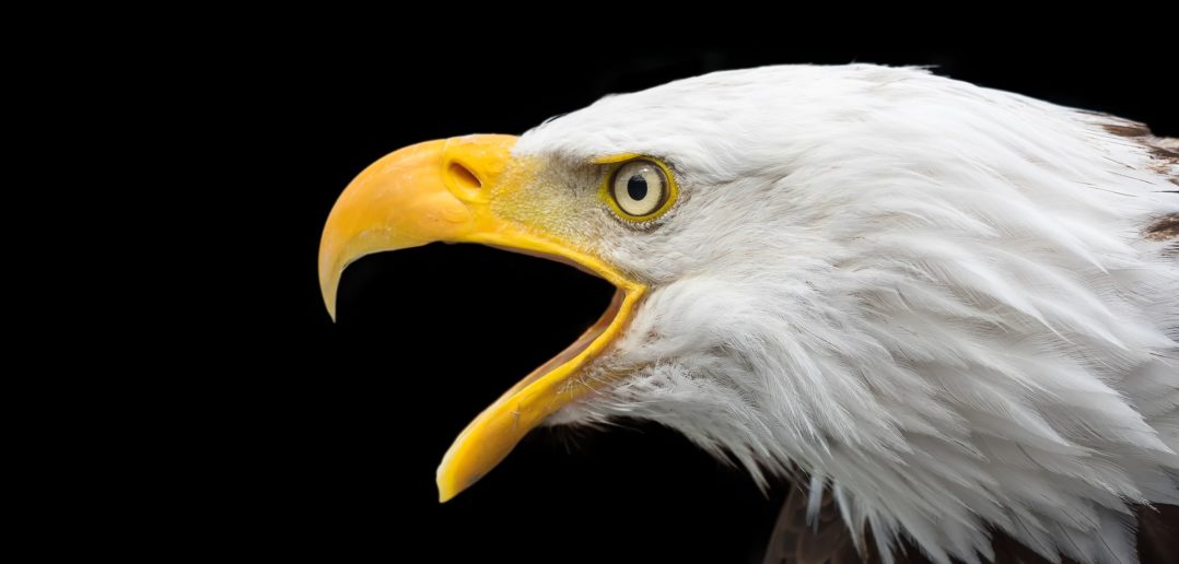 Bildquelle: pixabay.de