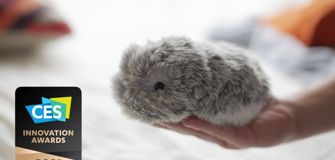 Bild: ces.vporoom.com