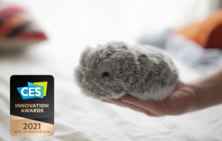 Bild: ces.vporoom.com