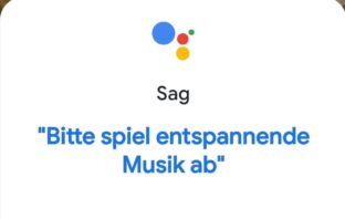 Screenshot Google Assistant