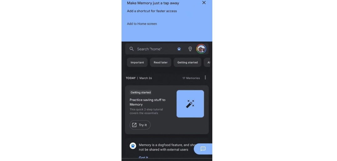 Google Assistant Memory