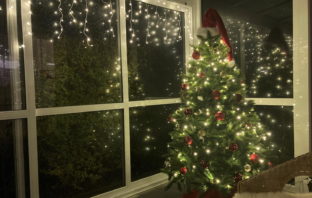 Smarte Weihnachtsbeleuchtung mit Alexa, Google Assistant & Co