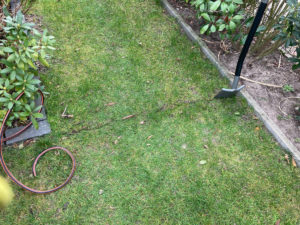 Micro Drip Rasen abheben