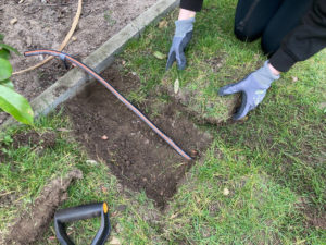 Micro Drip Rasen einsetzen