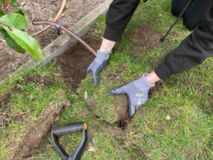 Micro Drip Rasen einsetzen2