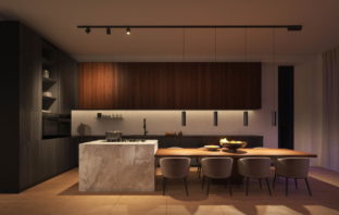 Philips Hue Perifo Schienensystem