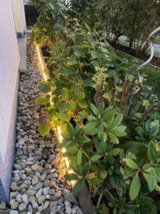 Hue Outdoor Lightstrip Beet warm weiß