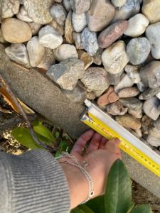 Hue Outdoor Lightstrip Messung Start