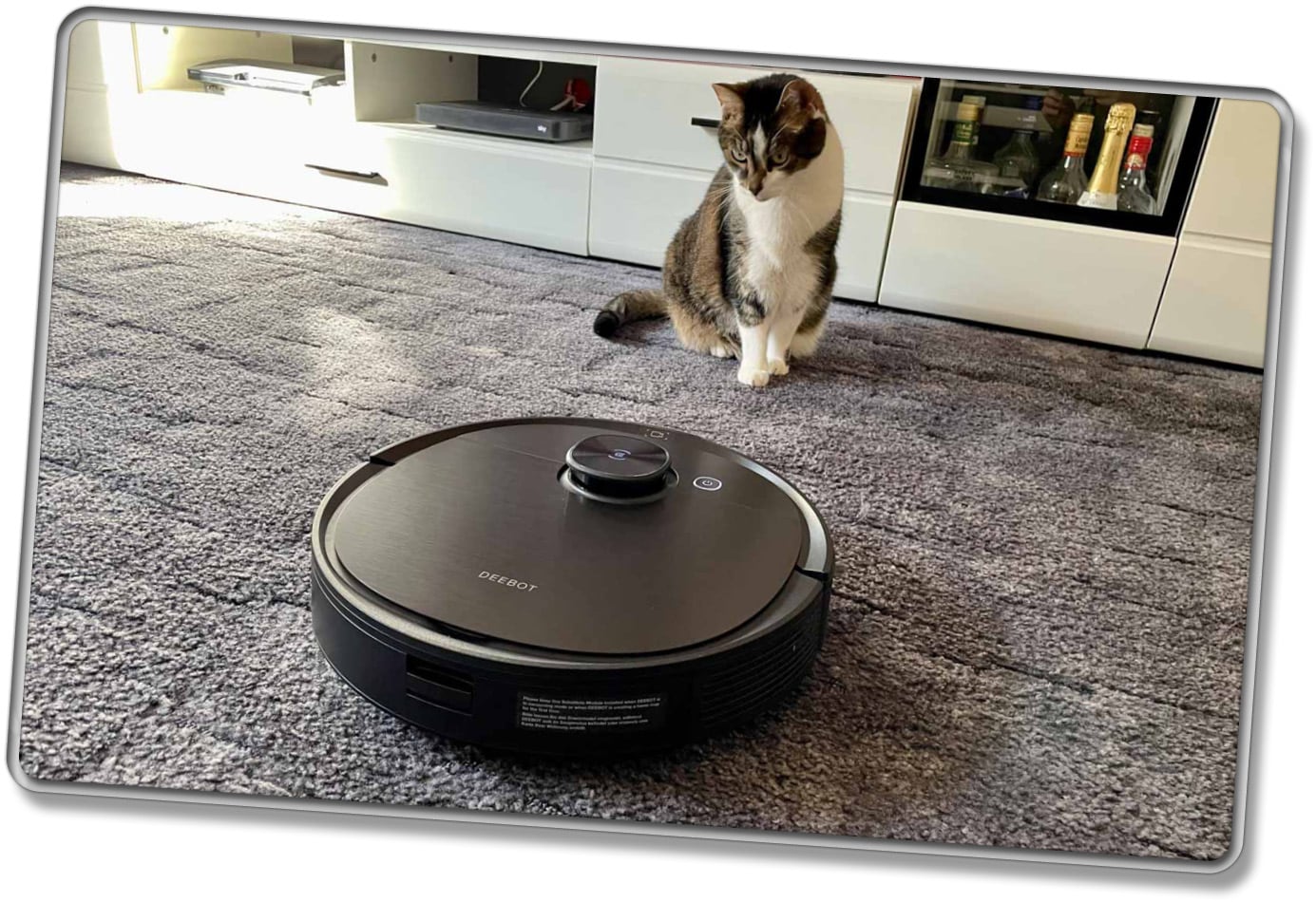 Sogar meine Hauskatze hat er zuverlässig erkannt und ist ihr aus dem Weg gegangen