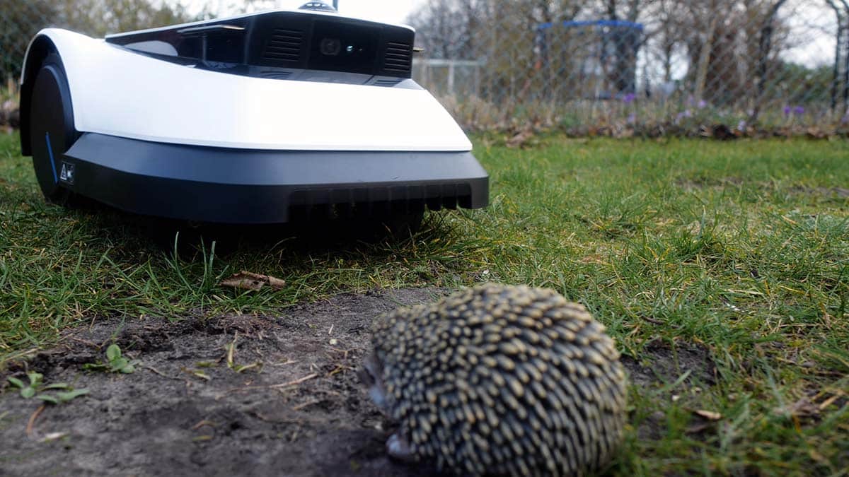 Der GOAT G1 erkennt Tiere