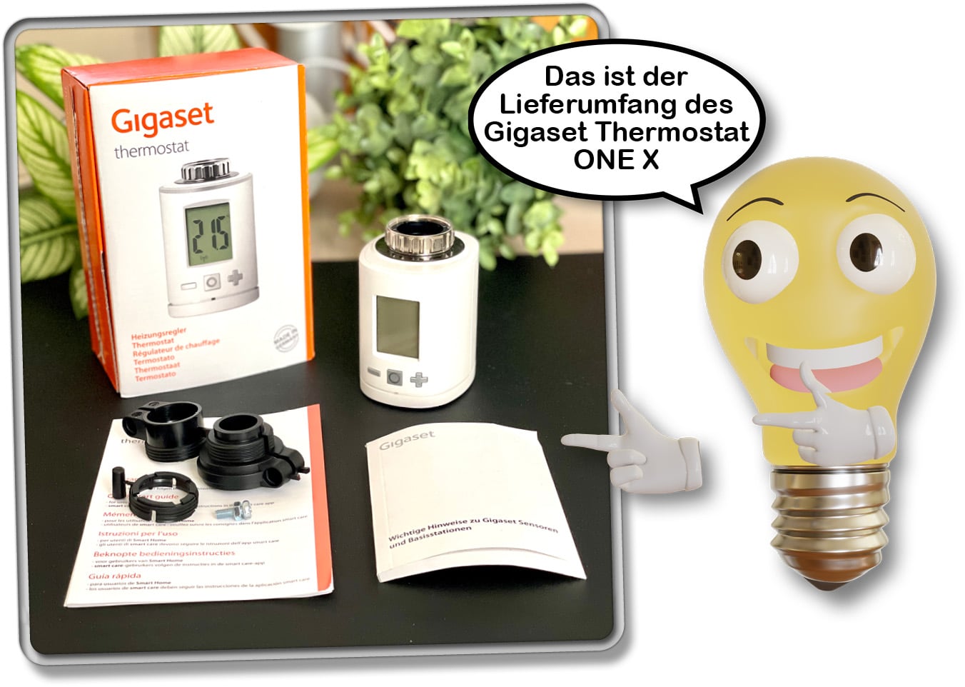 Das ist der Lieferumfang des einzelnen Gigaset ONE X