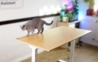 FlexiSpot E7 Schreibtisch