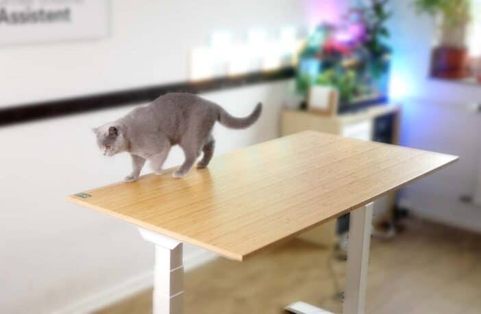 FlexiSpot E7 Schreibtisch