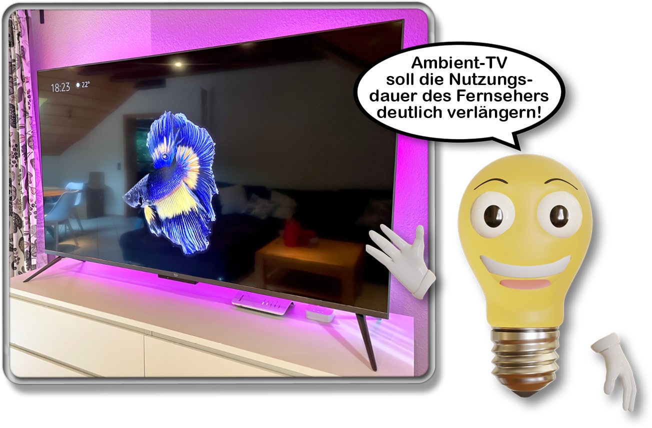 Amazon Fire TV Omni QLED 65-Zoll - Ambient-TV ist ein durchgehend angeschalteter Fernseher, der ein Bild wiedergibt anstatt aus zu sein