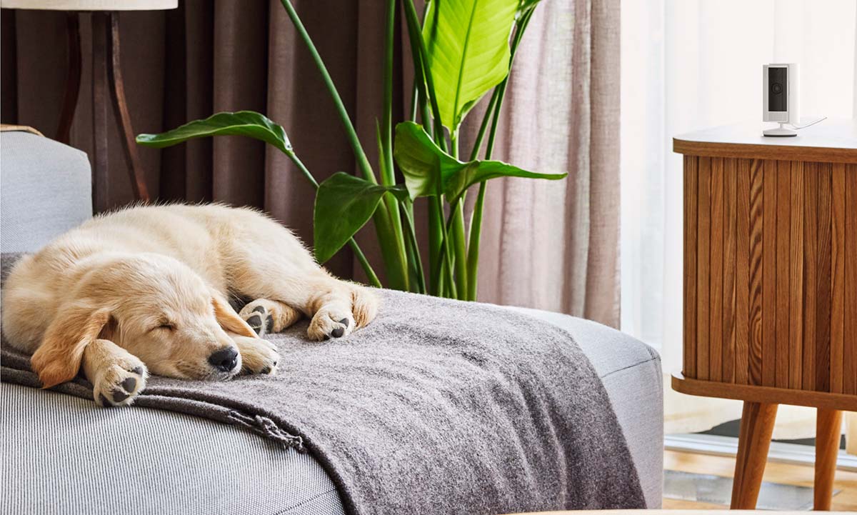 Ring Indoor-Camera 2