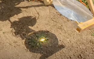 Ein Unkrautvernichter Roboter fackelt Unktraut ab