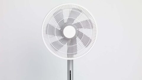Xiaomi Smartmi Standing Fan 3