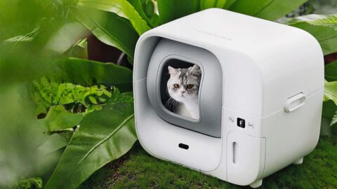 Furbulous | Die smarte Katzentoilette bei Geekbuying