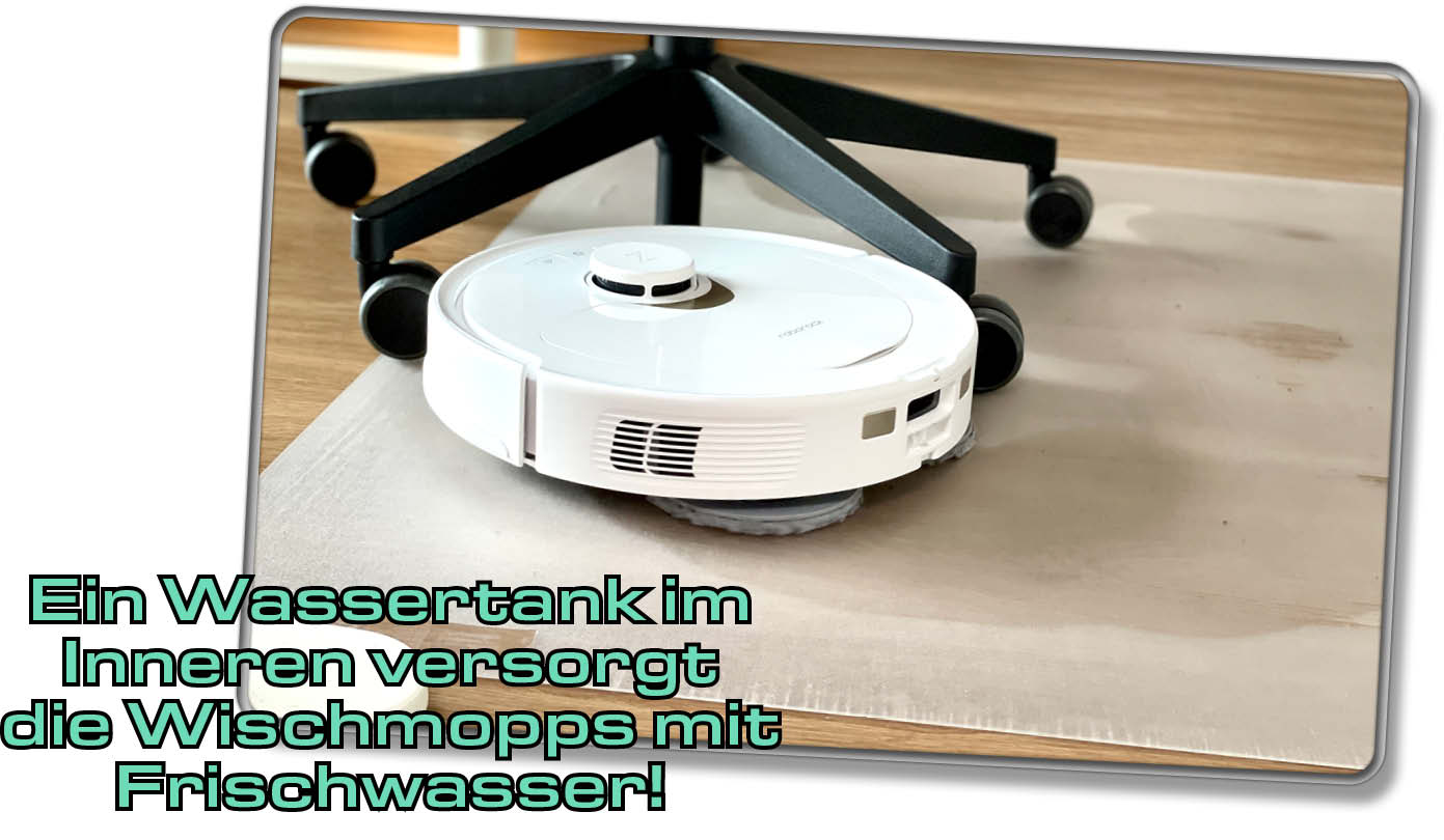 Die Mopps werden kontinuierlich mit Wasser versorgt