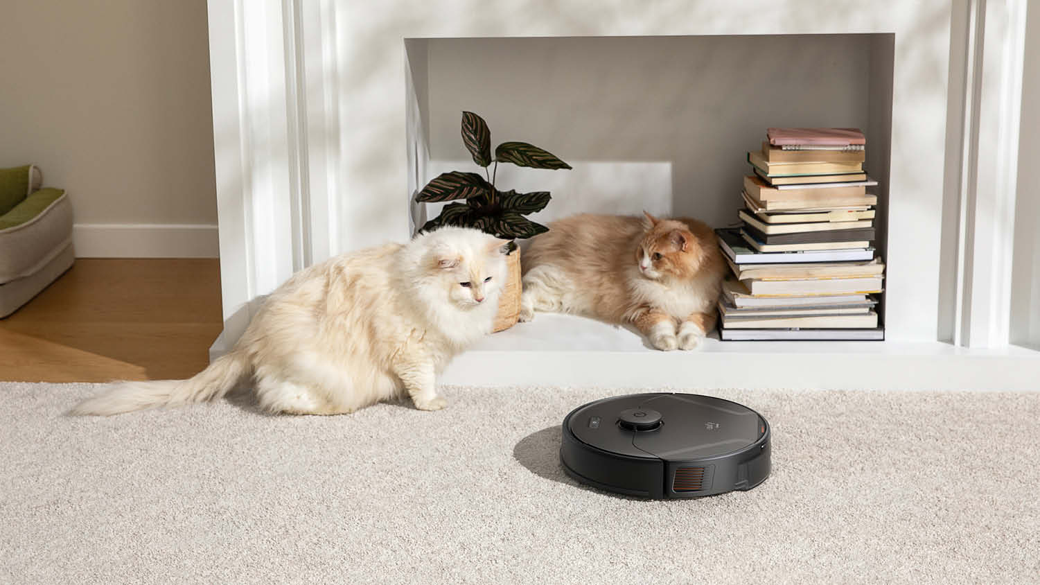 eufy X8 Pro (SES) - Tierhaare haben keine Chance