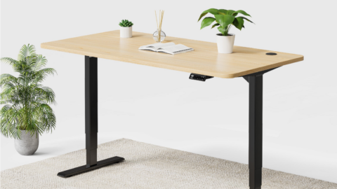 Maidesite S2 Pro Plus