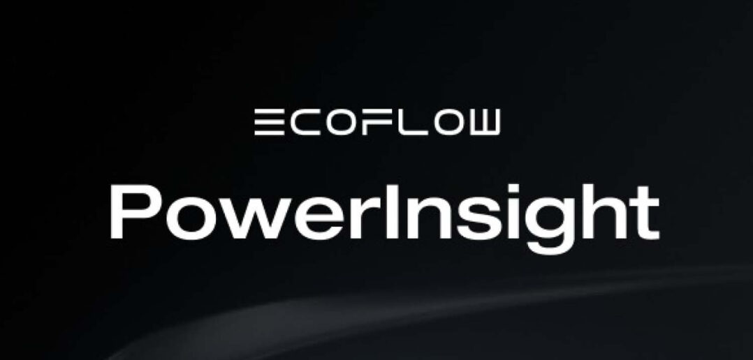 EcoFlow PowerInsight teaser
