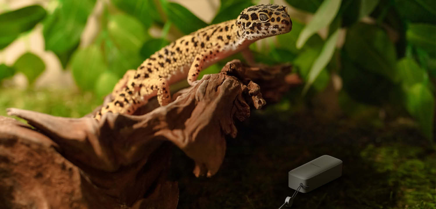 SwitchBot Outdoor Meter