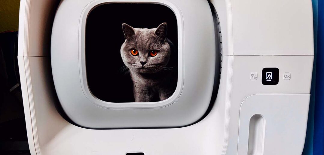 Furbulous Katzentoilette