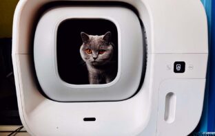 Furbulous Katzentoilette