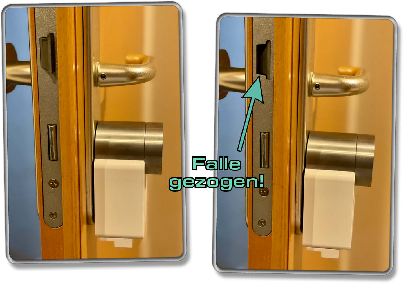 Das Smart Lock kann die Falle selbstständig ziehen