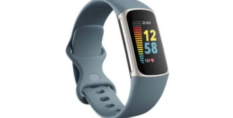 Fitbit Charge 5 Graublau/Edelstahl Platin