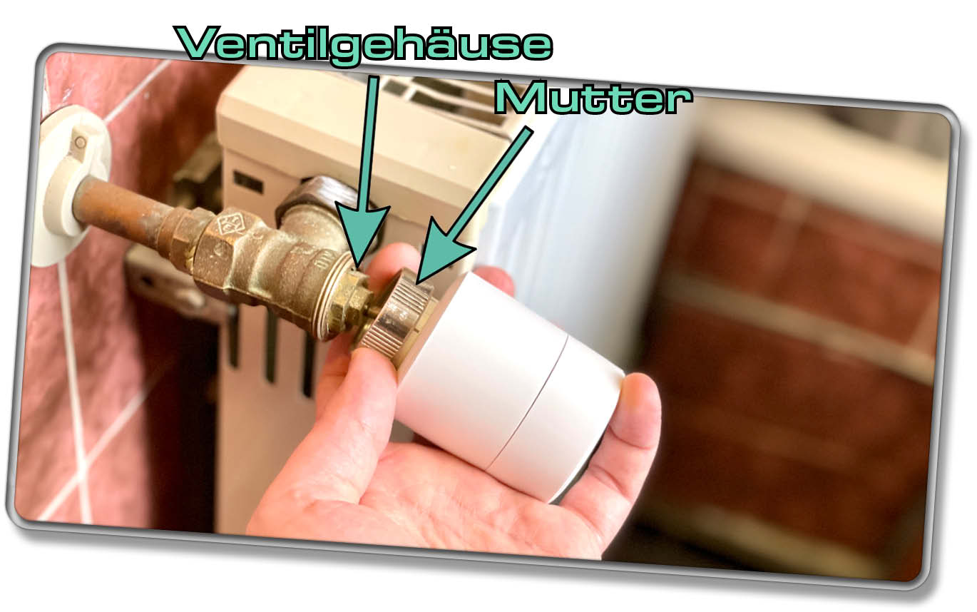 Thermostat Demontage