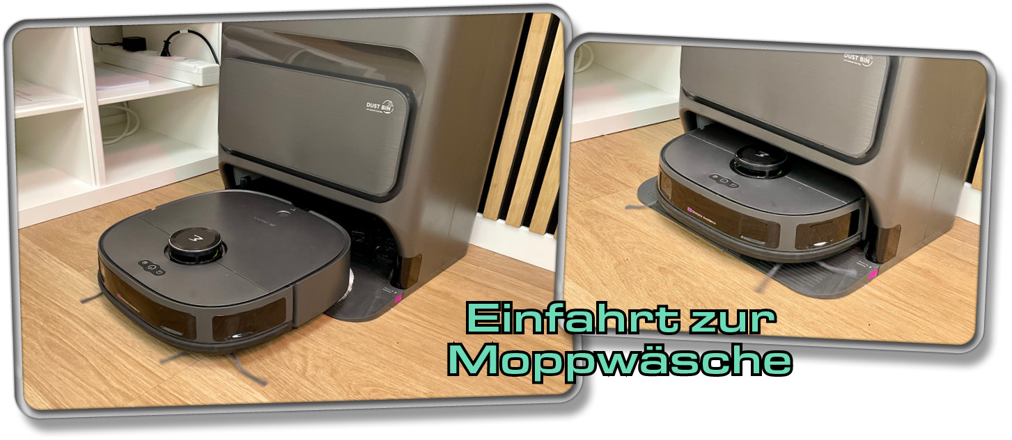 Die Mopps werden in der Station ausgewaschen