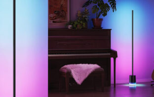 Govee Smart Stehlampe 2