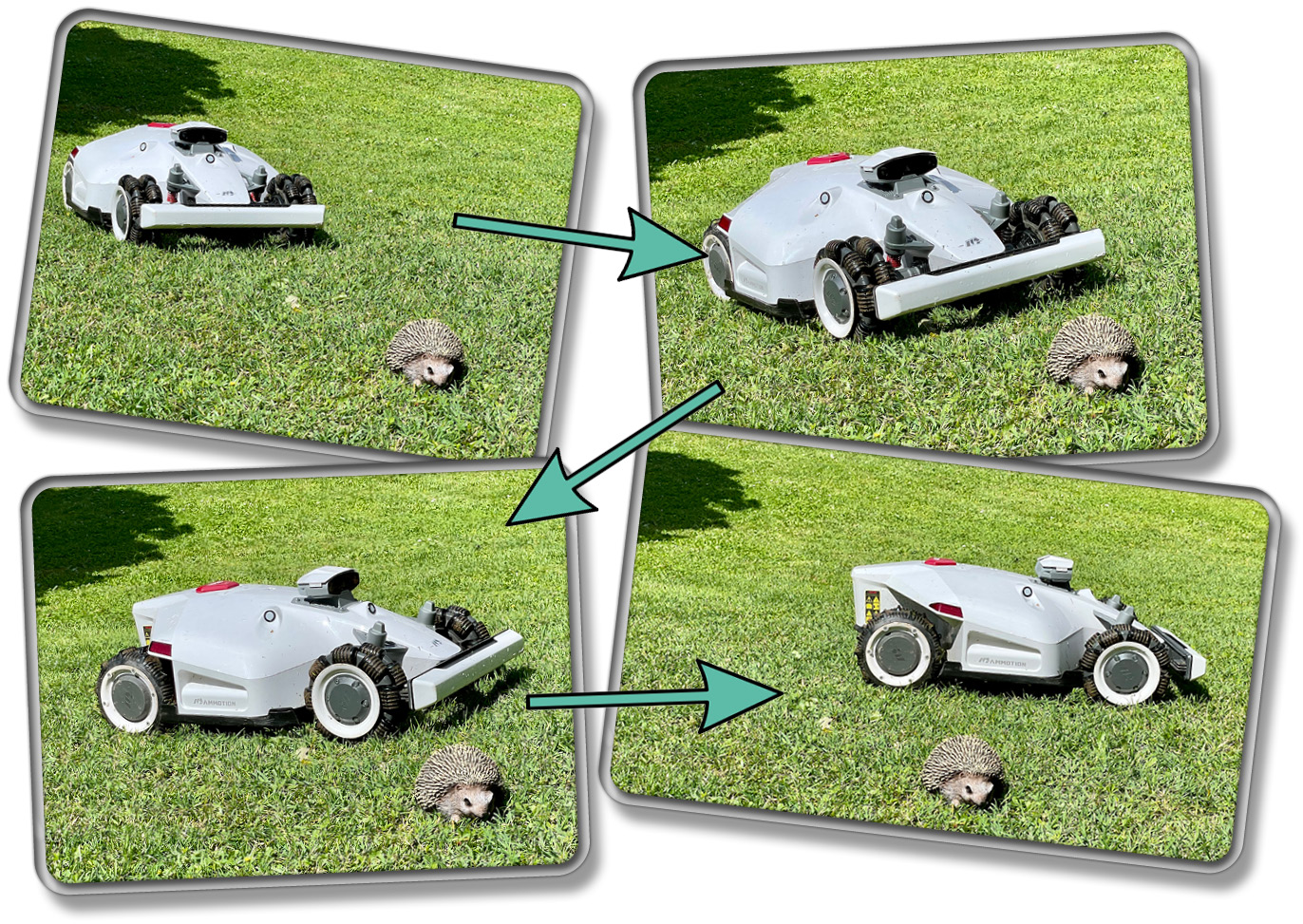 Auch unseren Igel hat der Mammotion LUBA 2 AWD 5000 erfolgreich erkannt und umfahren