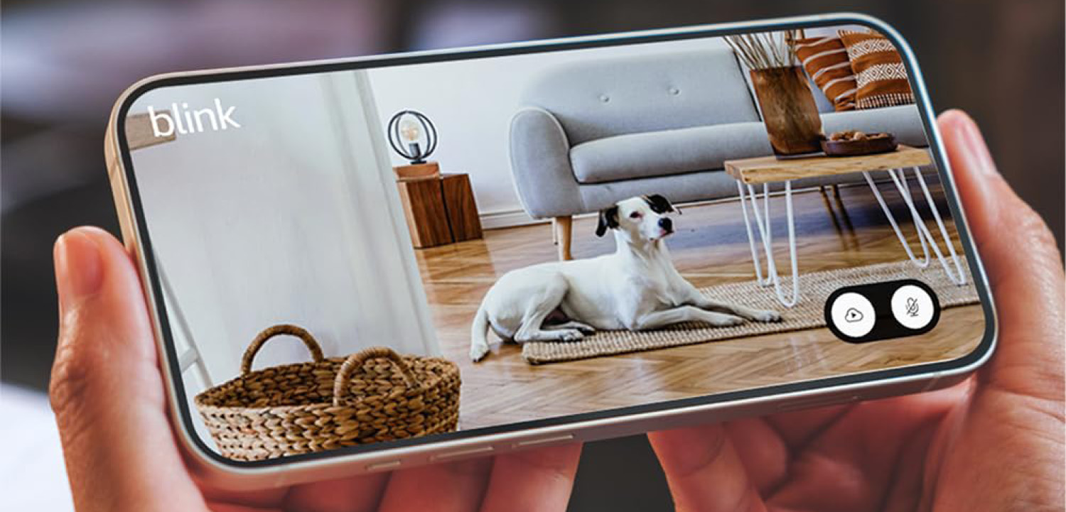 Blink Mini 2 