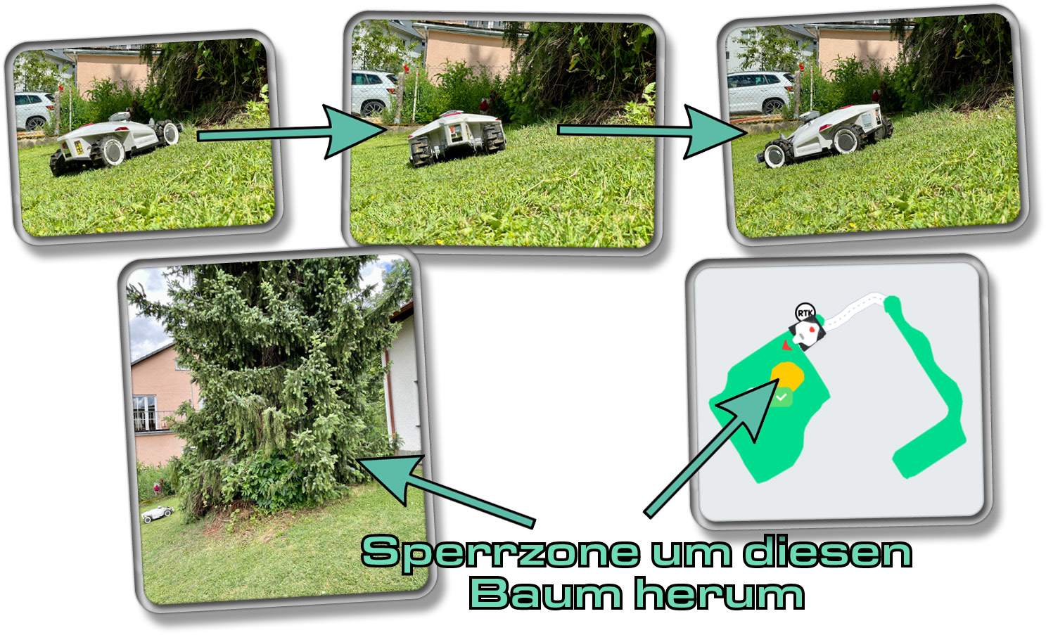 Die Sperrzone umriengt einen großen Baum im Garten, die der LUBA 2 meidet