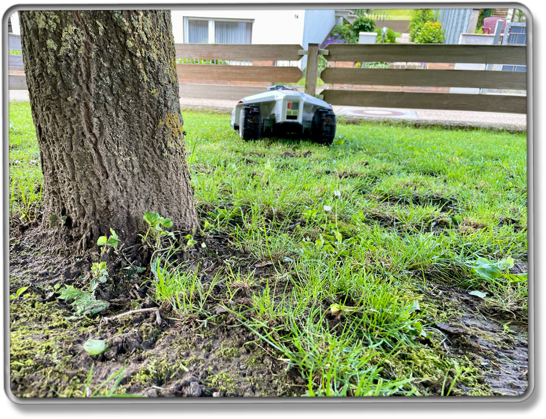 Egal ob hohes oder schon geschnittenes Gras. Der LUBA 2 fährt alles über den Haufen