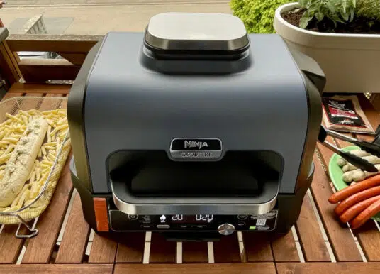 Ninja Woodfire Pro Connect XL | TEST | Grill, Fritteuse, Smoker!