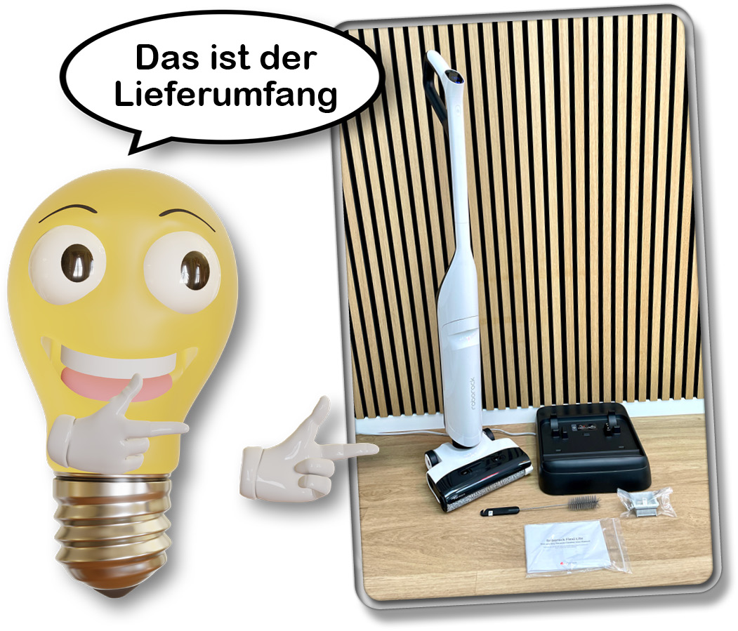 Das wird beim Kauf des Roborock Flexi Lite mitgeliefert