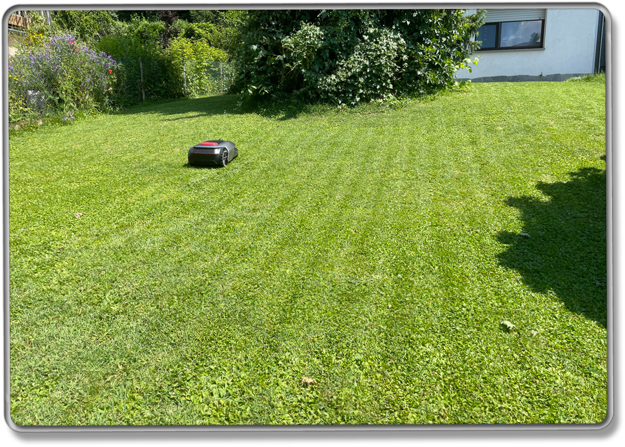 Der Dreame A1 hinterlässt ein streifiges Mähbild, das nach einem gepflegenten Garten aussehen lässt